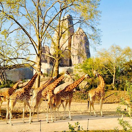 מונטריי Maison 50 M2, A 5 Minutes De Paris Et Ideal Pour Disney מראה חיצוני תמונה